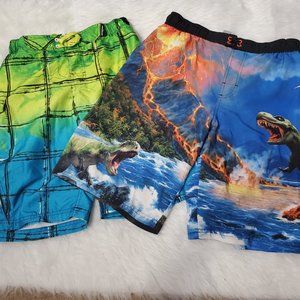 Boys Swim Trunks: ZeroXposur & Wonder Nation, XXL